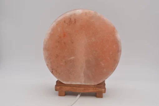 Himalayan salt lamp Angel back